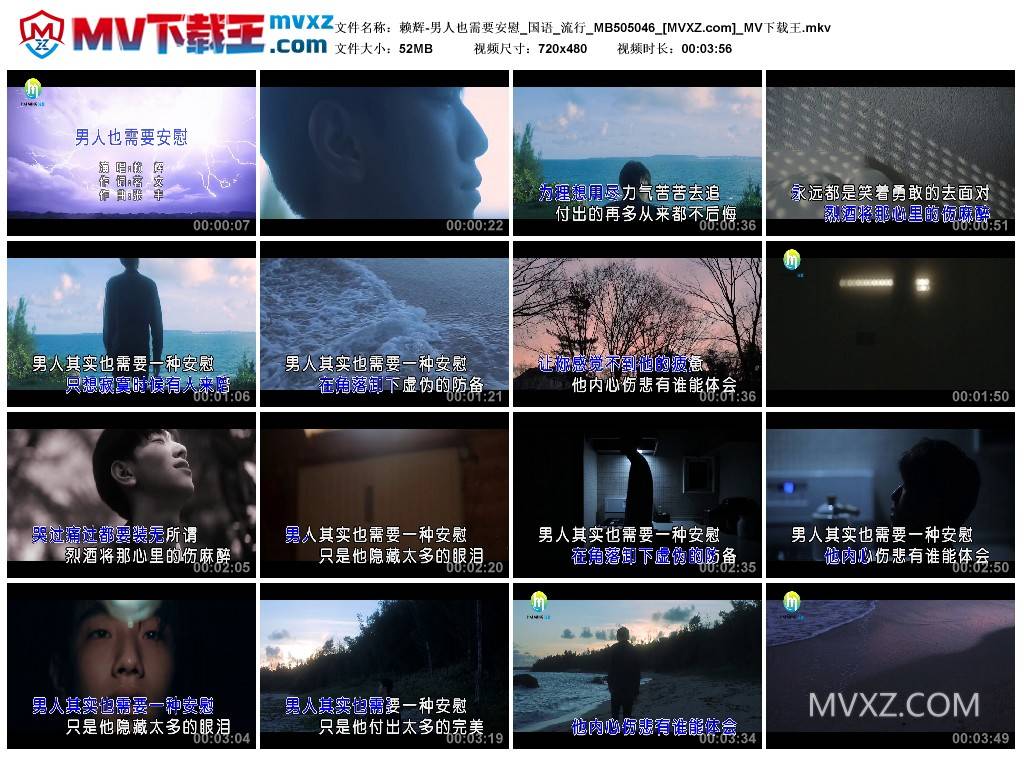 赖辉-男人也需要安慰_国语_流行_MB505046